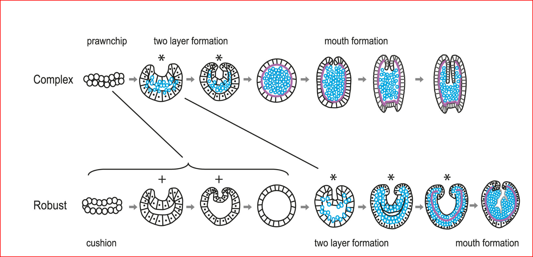 Figure 12. Taken from Okubo et al. 2013